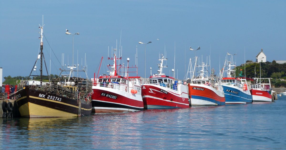 Atelier d’écriture N° 232… !!! – ZAZA-RAMBETTE LE RETOUR